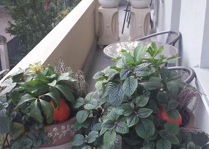 Pensjonat Eden 3* Sopot