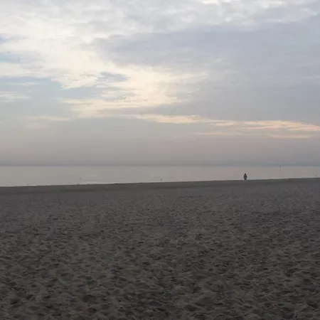 펜쇼나트 에덴 소포트